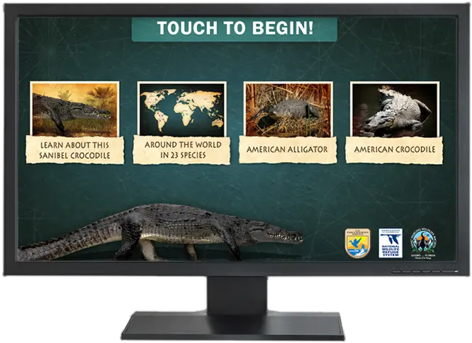 Interactive Kms Png Crocodile