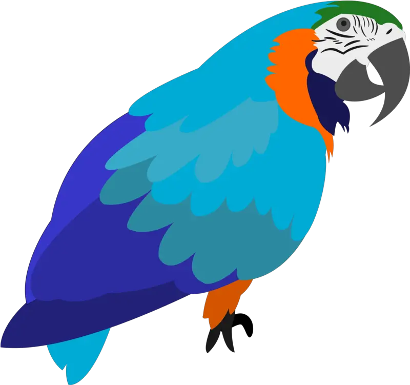 Macaw Parrot Lorikeet Parrot Free Use Cartoon Png Macaw Png