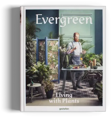 Evergreen Evergreen Living With Plants Png Evergreen Png