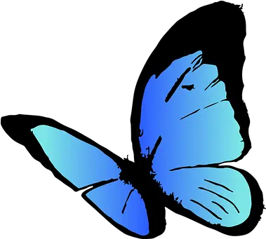 10 Free Butterfly Icon U0026 Vectors Pixabay Gift Kupu Kupu Warna Biru Png Butterfly Emoji Png