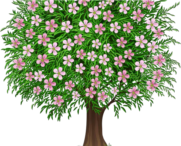 Gudi Padwa Chya Wedding Green Screen Effects Png Bushes Transparent Background