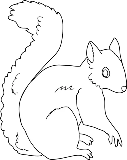 Black And White Transparent Squirrel Clipart Black And White Squirrel Clipart Png Squirrel Transparent Background
