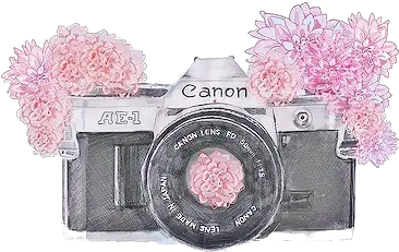 Camara Png Tumblr 4 Image Cute Pop Art Camera Drawings Camara Png