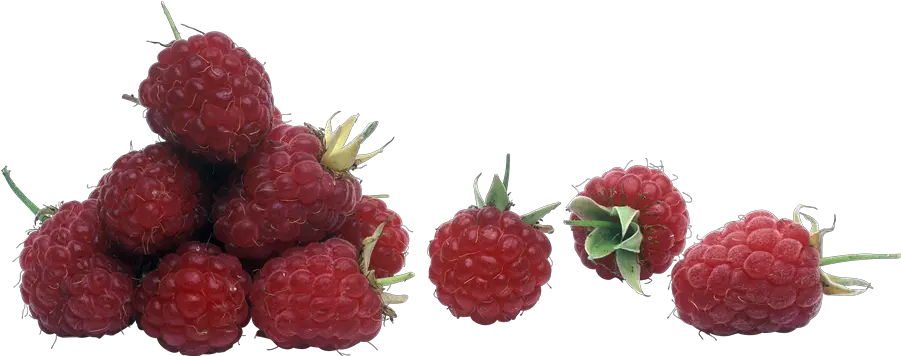 Raspberry Transparent File Raspberry Png Raspberry Png