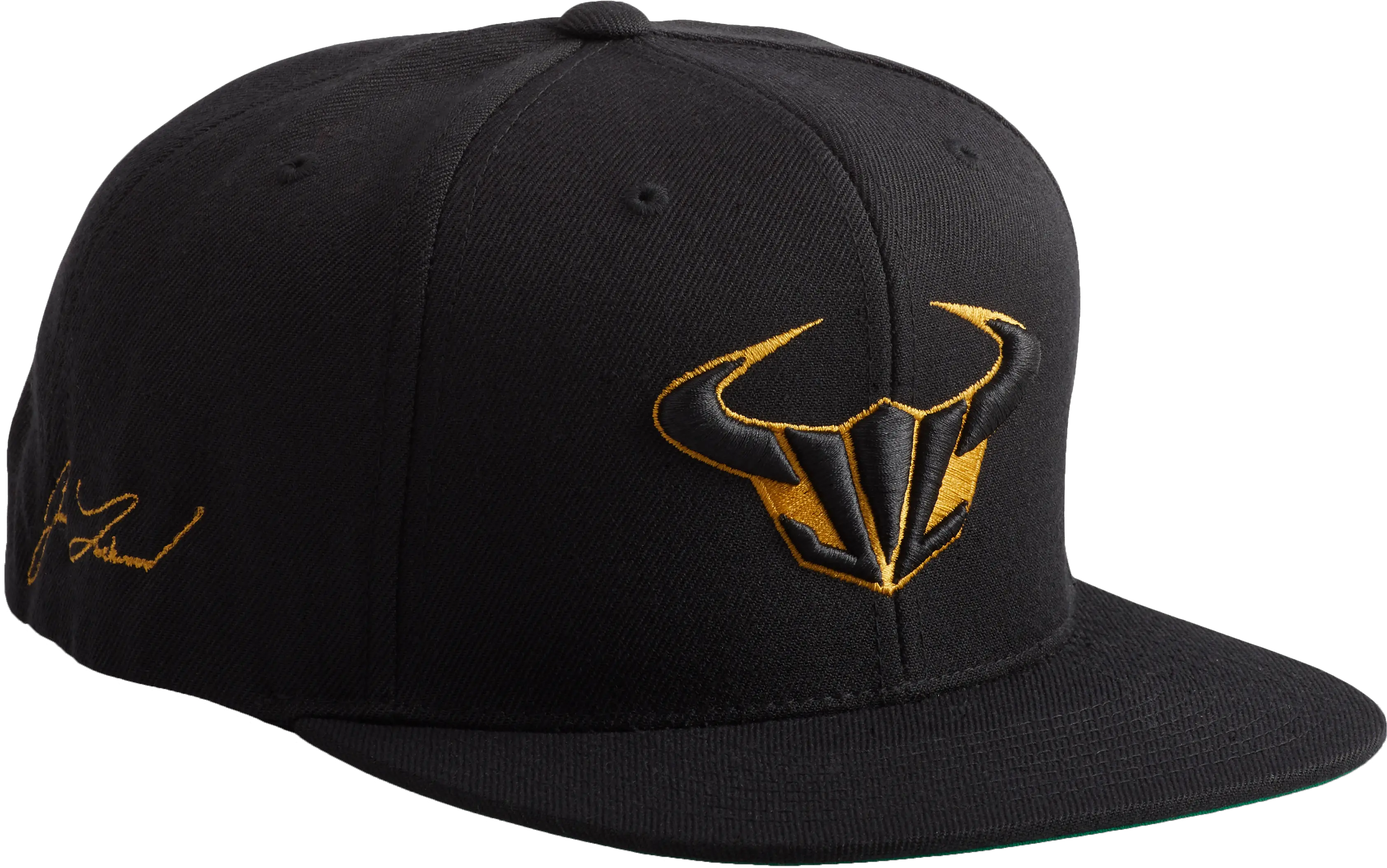 The Gold Icon Snapback Fermer Png Black And Gold Icon