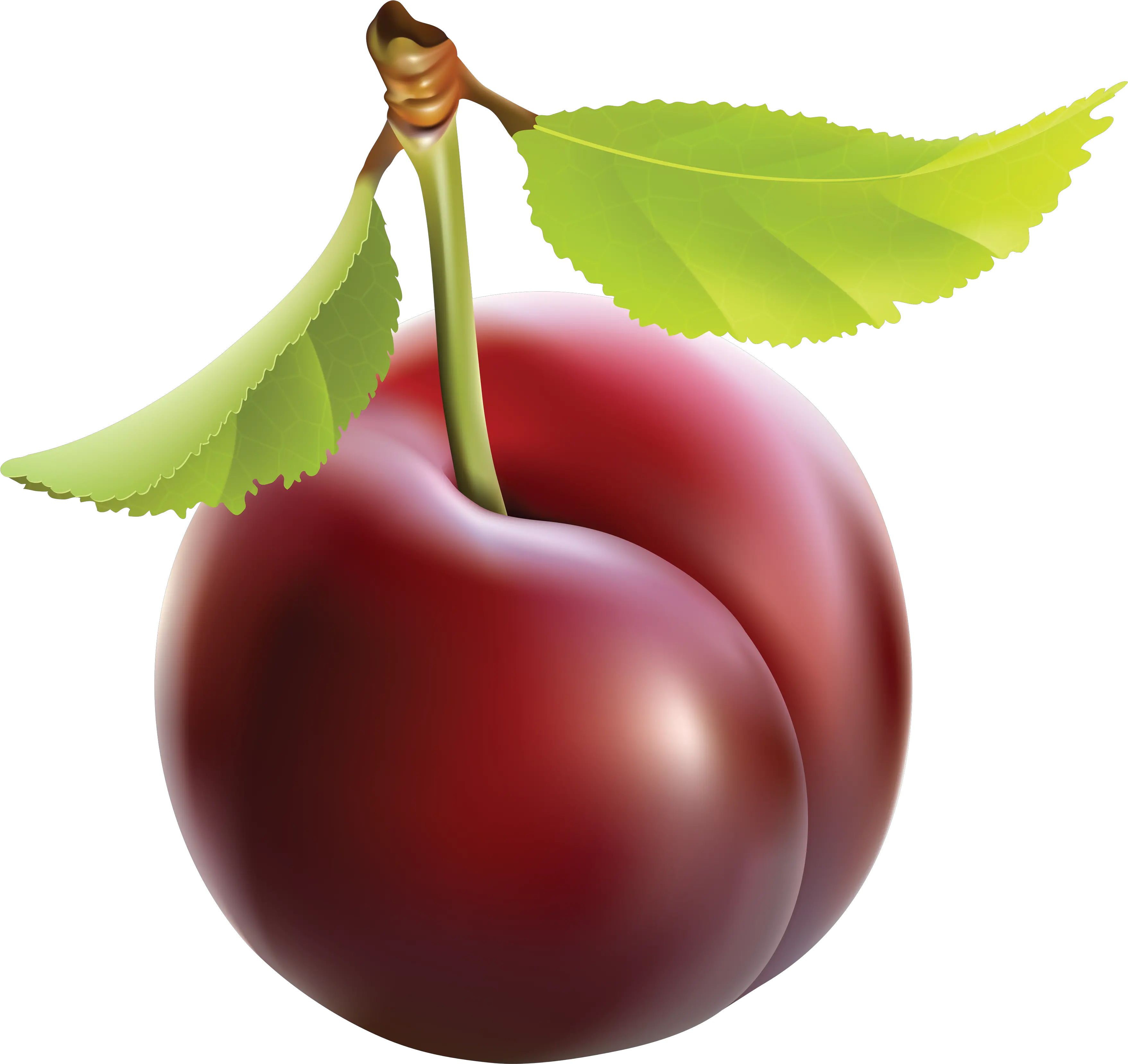 Plum Png Image For Free Download Clipart Of Plum Plum Png