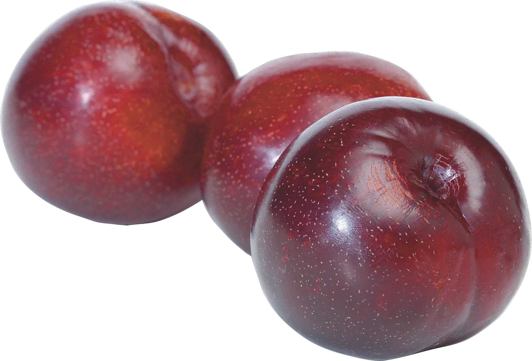 27 Plum Png Images For Free Download Plum Png Plum Png