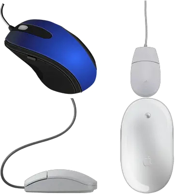 Computer Mice Transparent Png Images Stickpng Mouse Computer Mouse Transparent