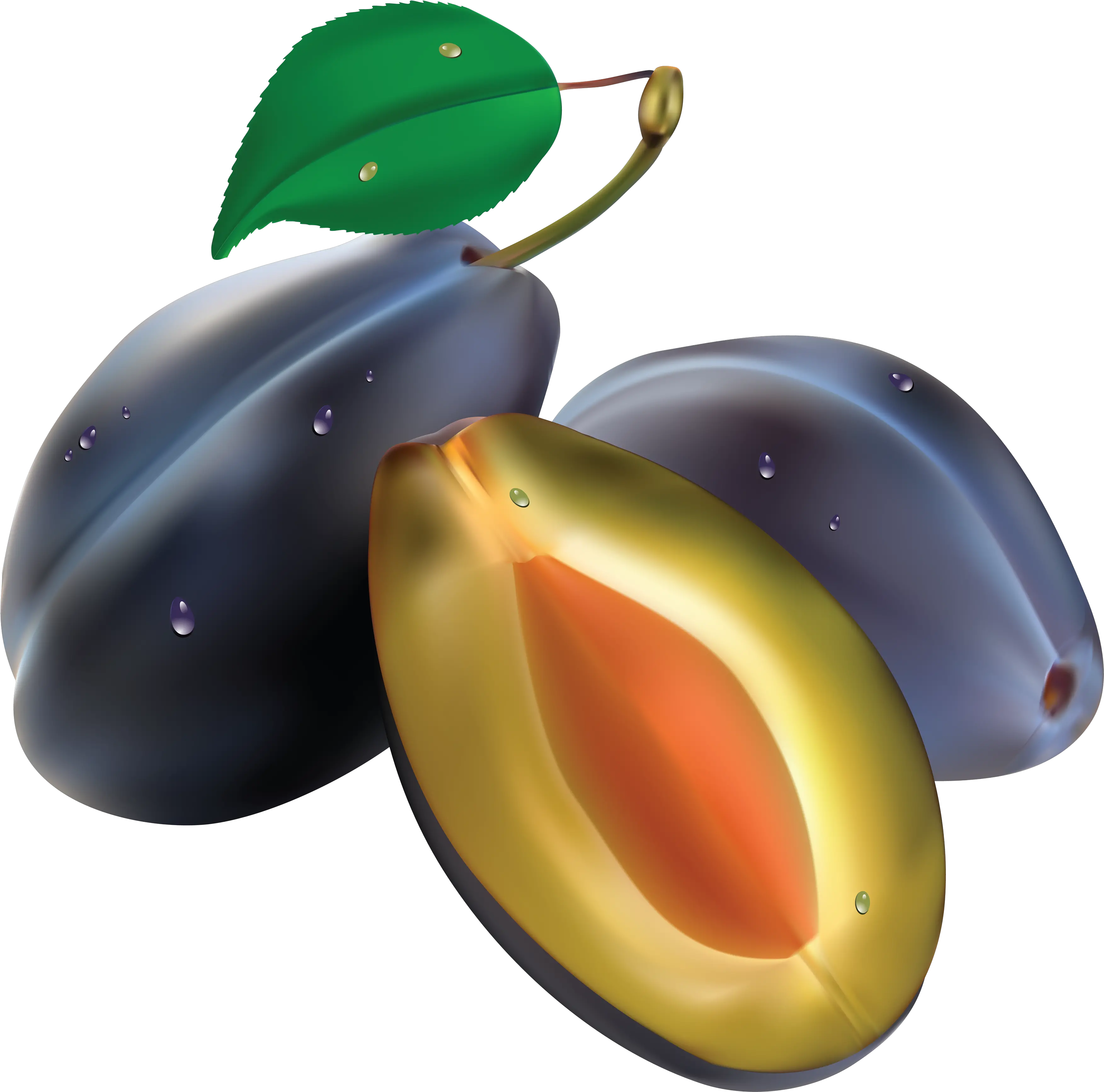 Plum Png Image Realistic Svg Plum Png