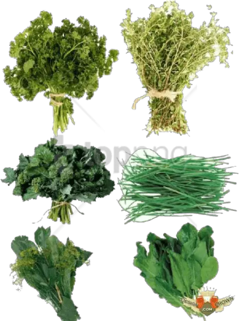 Download Herb S Png Images Background Herbs Png Herbs Png