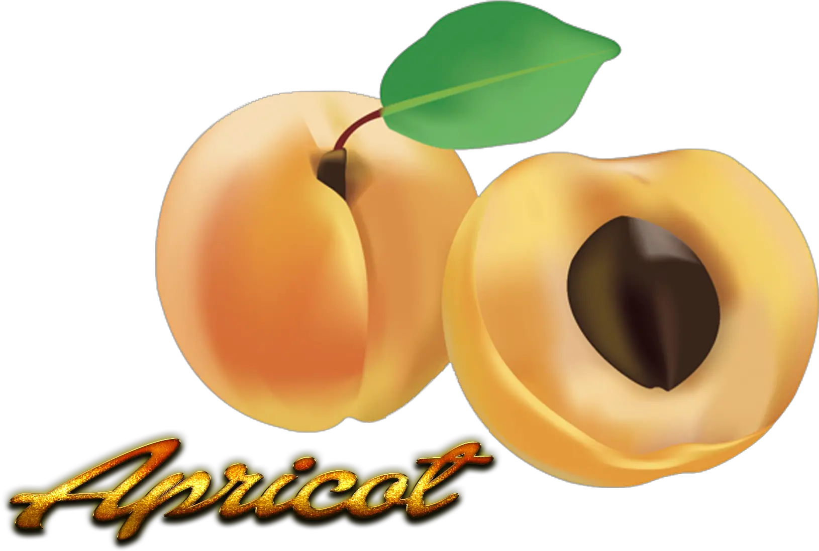 Apricot Png Fruit Clipart Full Size Clipart 3587492 Fruit Fruit Clipart Png png