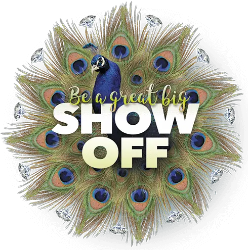 Be A Great Big Show Off Nettlcom Peacock Feather Eye Png Big Show Png