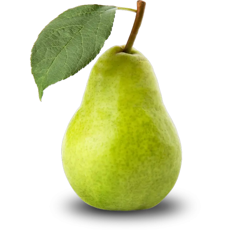 Download Free Icons Png Pear Png Pear Png