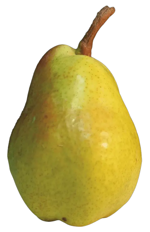 Download Hd Pear Png Image Pear Png Pear Png