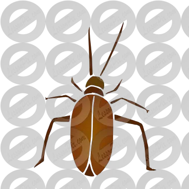 Roach Stencil For Classroom Therapy Use Great Roach Clipart Weevil Png Roach Png