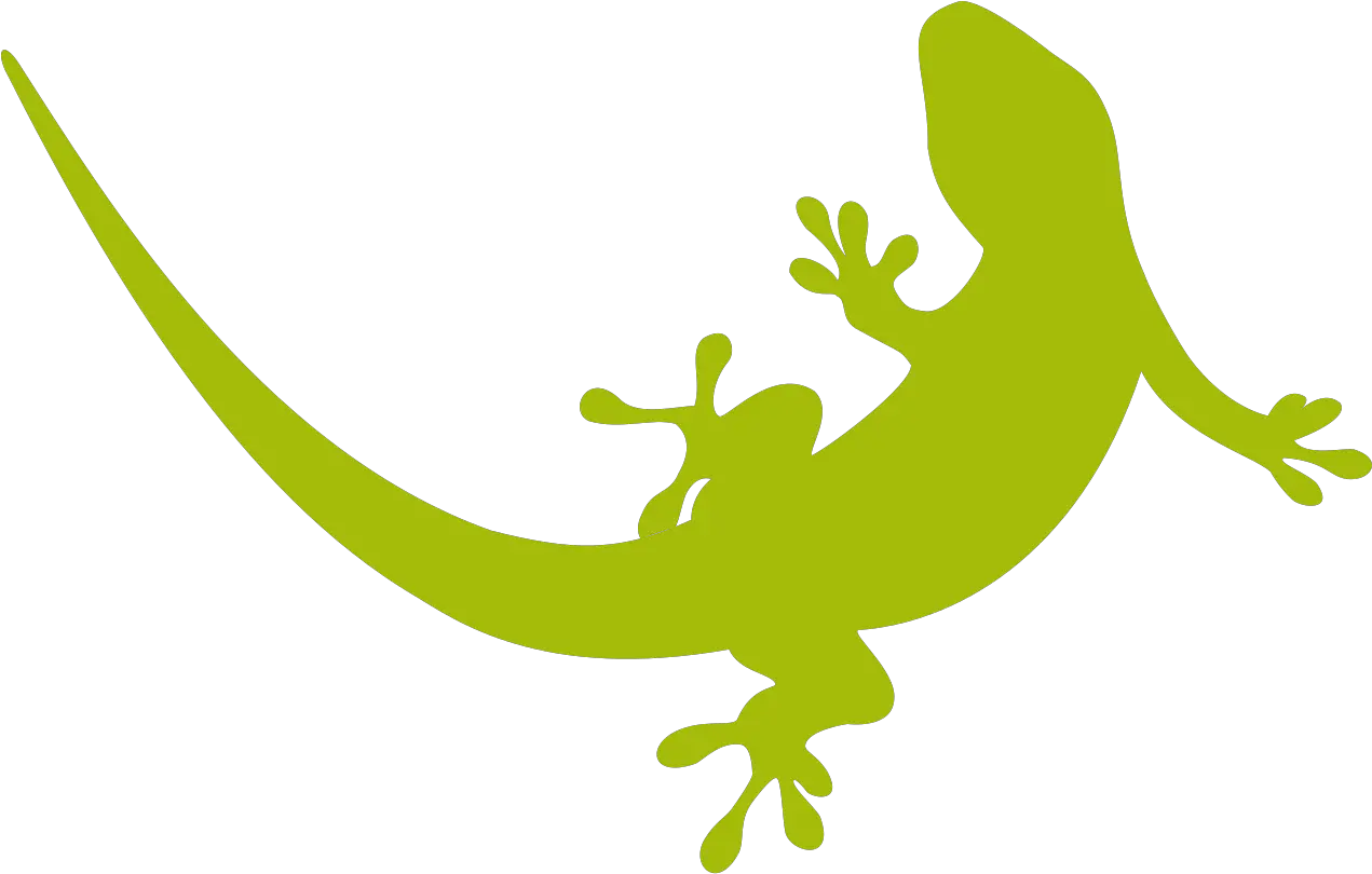 Gecko Clipart Pet Lizard Transparent Free Logo Gecko Png Lizard Transparent Background