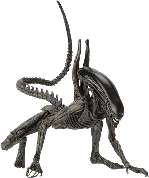 Alien Covenant Png 3 Image Alien Covenant Xenomorph Png Alien Transparent