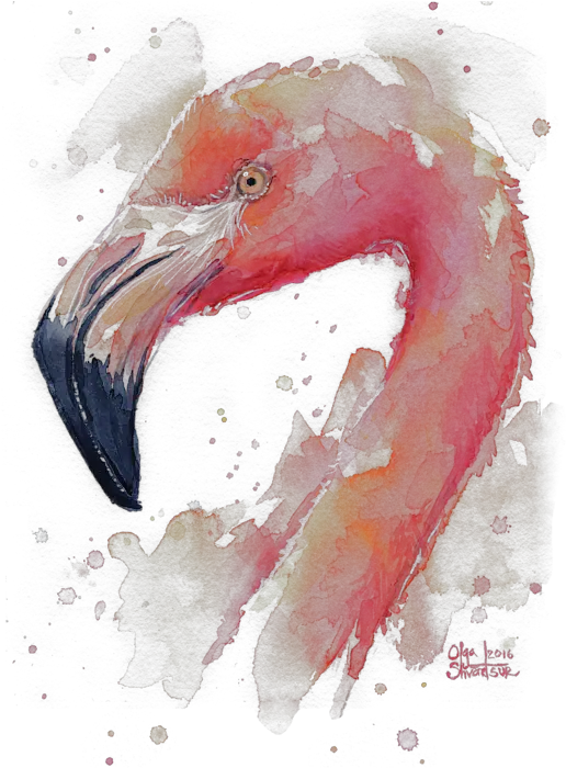 Birds Flamingo Watercolor Painting Transparent Png Flamingo Watercolor Rem Re Zero Icon