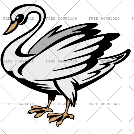 Duck Goose Swan Bird Png Image With Duck Duck Transparent Background