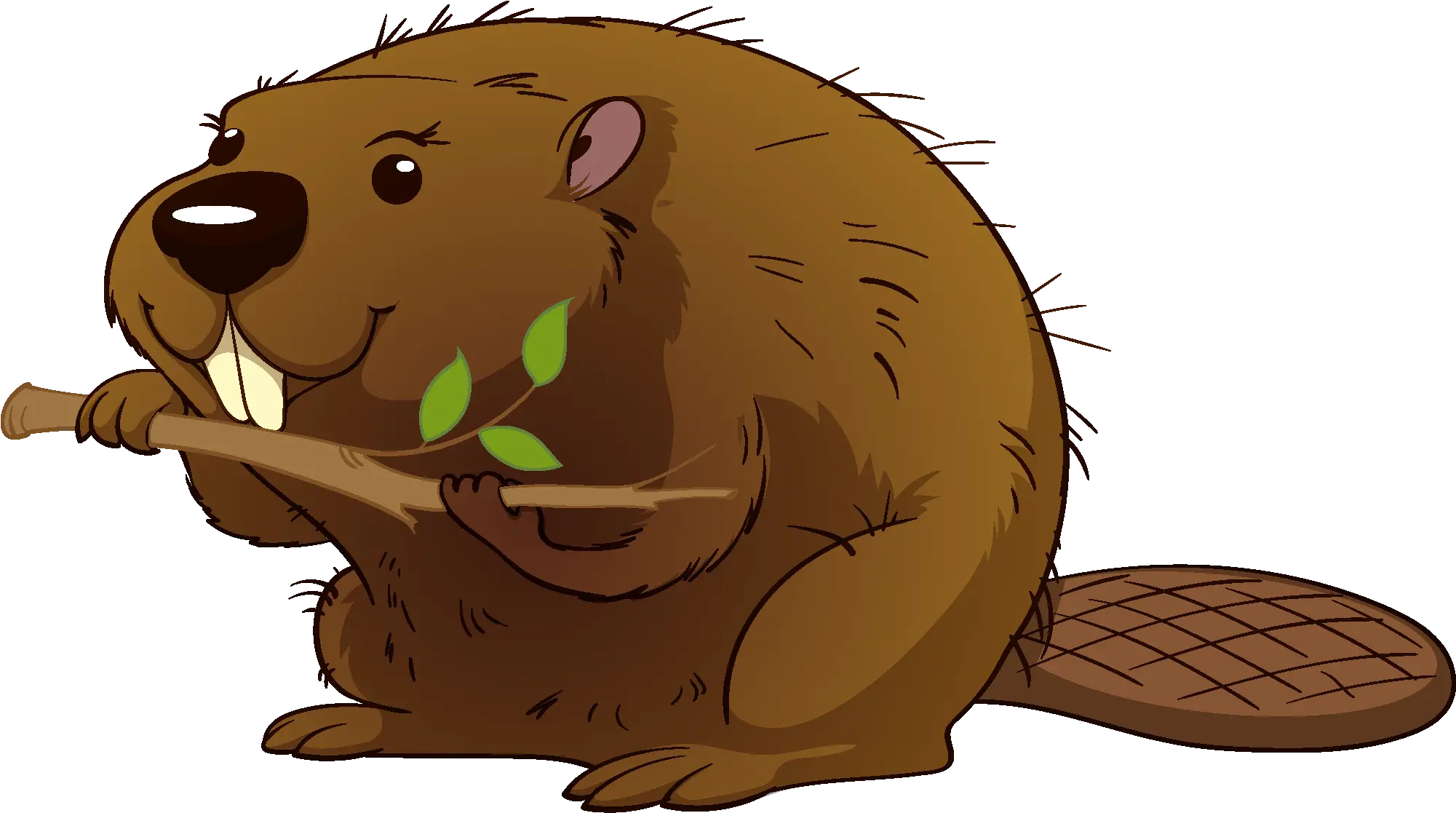 Clipart Beaver Png Beaver Png
