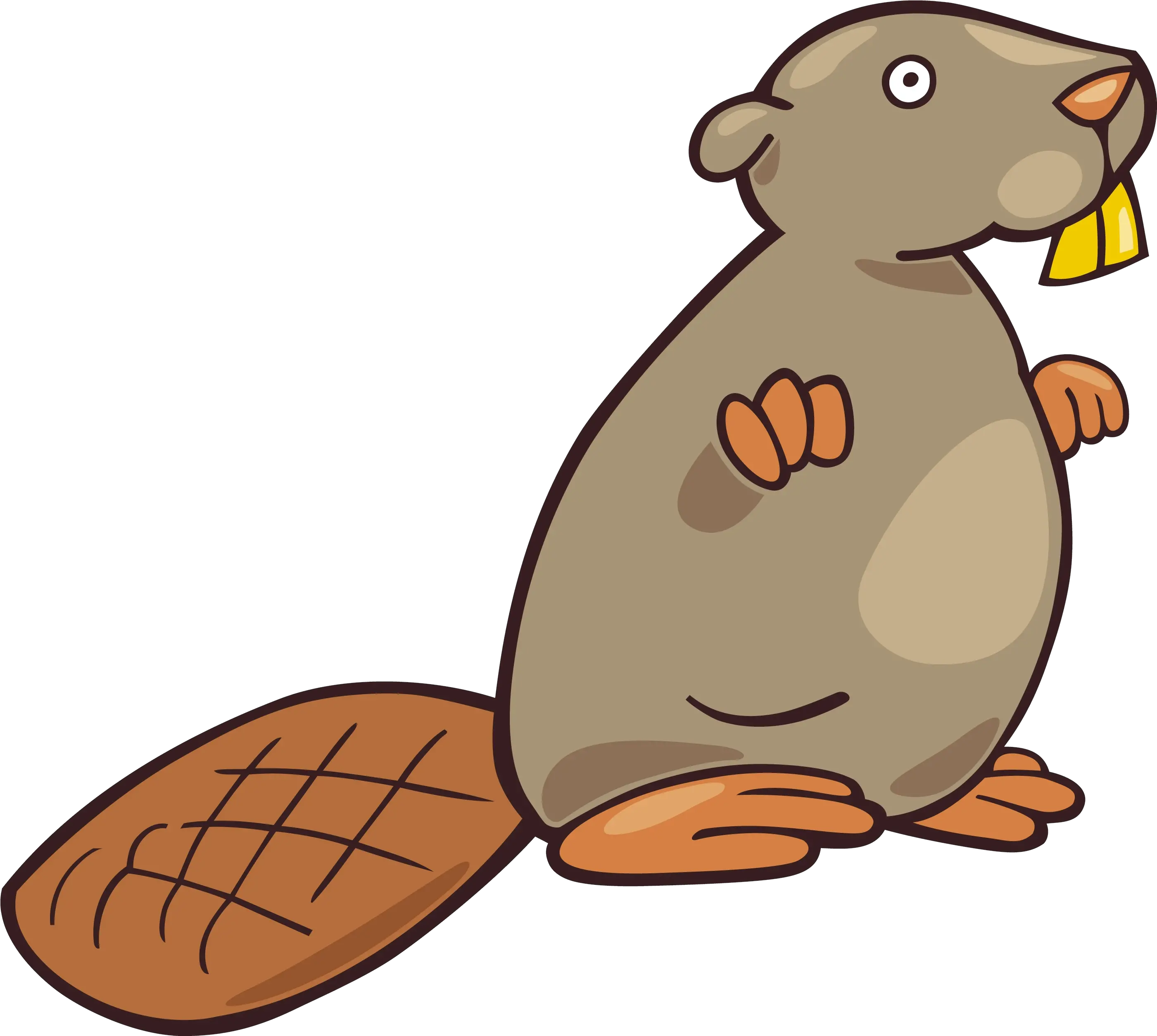 Beaver Png Bóbr Png Beaver Png