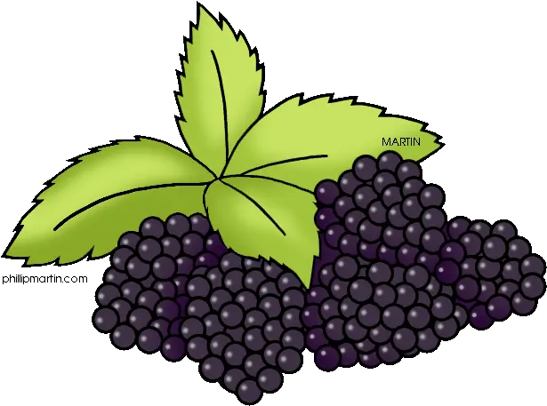Blackberry Fruit Png Pic Mart Clip Art Fruit Clipart Png