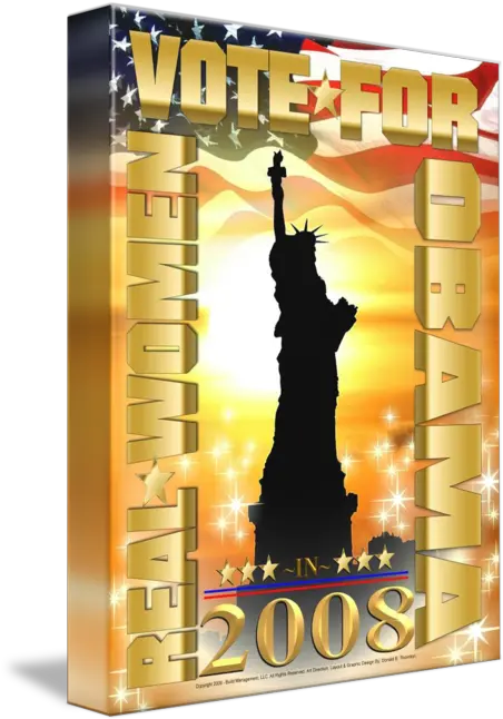 Real Women Vote By Donald Thornton New York Png American Icon Art Competition