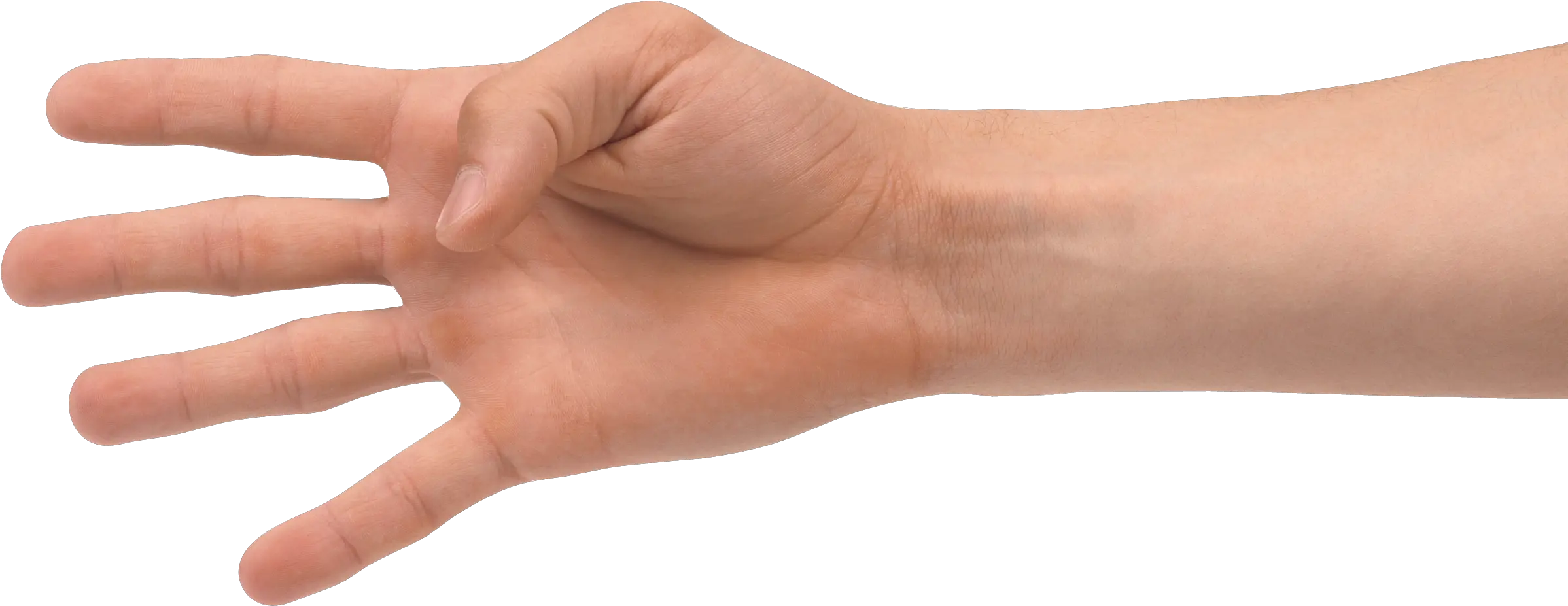 Download Four Finger Hand Png Image For Free Hand 4 Fingers Png Finger Transparent