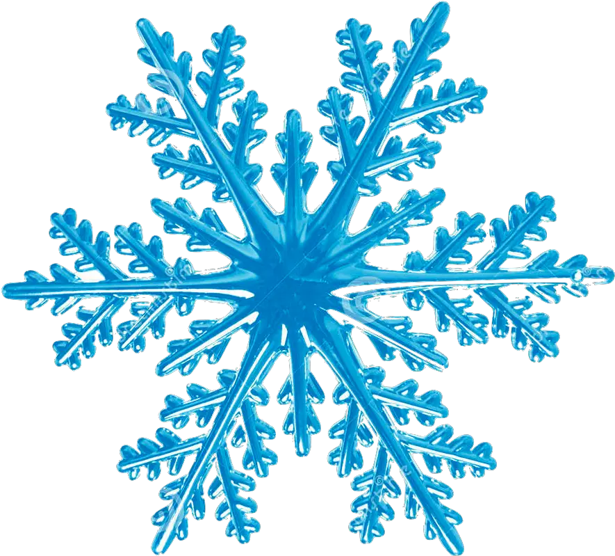 Home Gardens Of Grace Rotational Symmetry In Nature Png Christmas Snowflakes Png