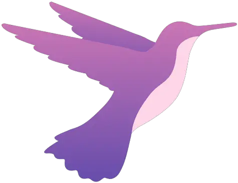 Hummingbird Feeding Transparent Png U0026 Svg Vector File Beija Flor Png Hummingbird Png