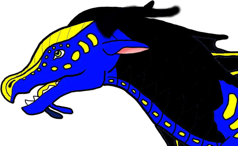 Shadownightwing Images Oceana Headshot Hd Wallpaper Wings Wings Of Fire Dragon Drawing Png Nightwing Png