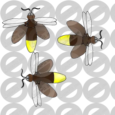 3 Fireflies Picture For Classroom Therapy Use Great 3 Honeybee Png Fireflies Png