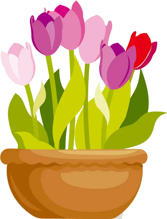 Vase Clipart Tulip Png Transparent Free For Flower Pot Vector Png Tulip Png
