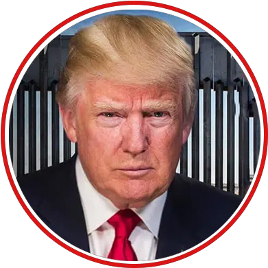 Donald Trump Presidentti Donald Trump Png Donald Trump Transparent Background