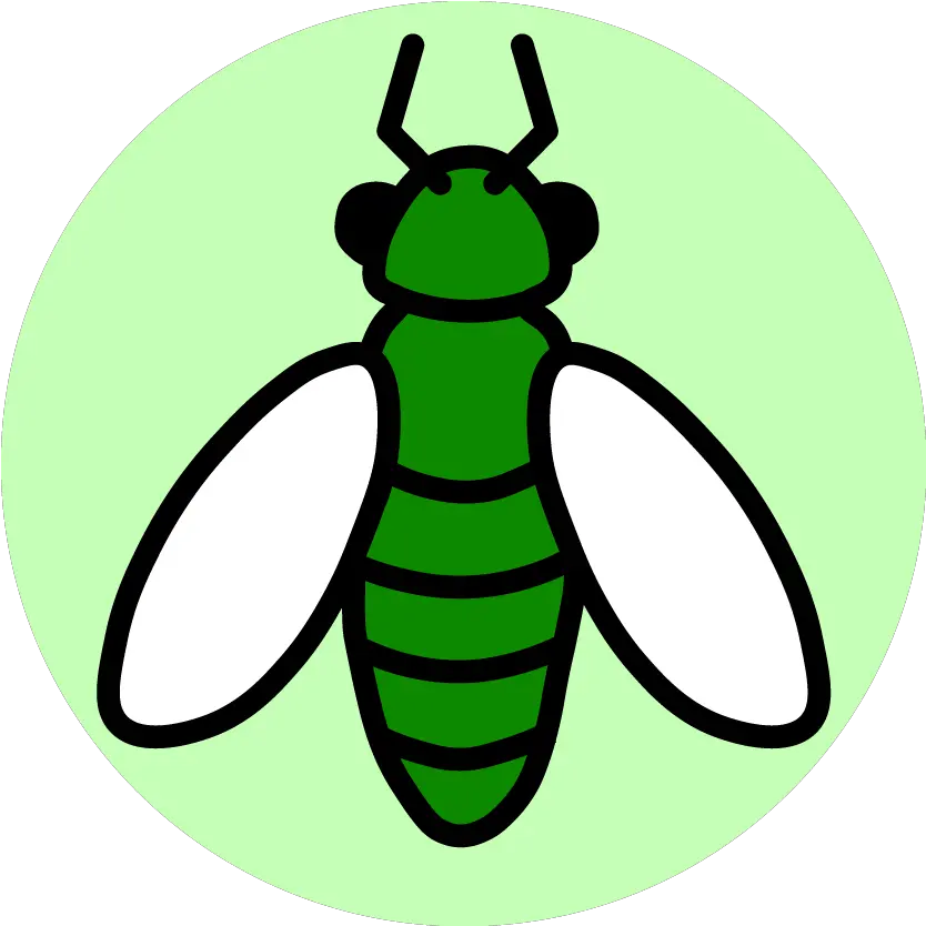 We Love Bugs Insect Png Insect Png