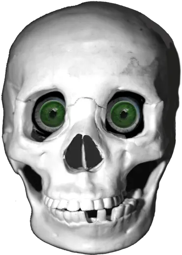 Cool Skeleton Png Transparent Skull Eyes Skeleton Png Transparent