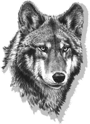 Black And White Wolf Png Transparent Wolf Black And White Wolf Head Png