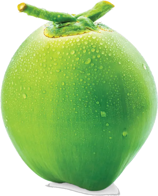 Coconut Plum Tomato Png Coconut Png