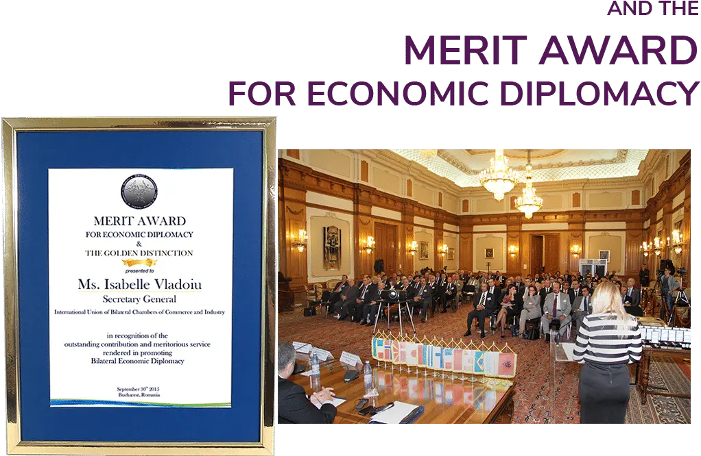 Become A Diplomatic Protocol Consultant Certificate Program Convention Png Diplomatic Speech Icon