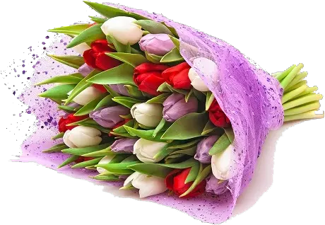Flower Bokeh Png Tulip Bouquet Tulips Real