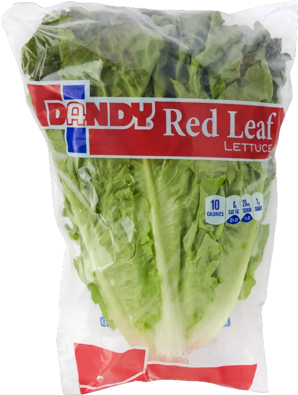 Red Leaf Lettuce Superfood Png Lettuce Transparent