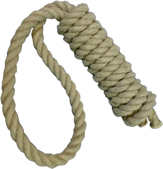 Noosepng 6 Png Image Rope Emoji Discord Noose Transparent Background