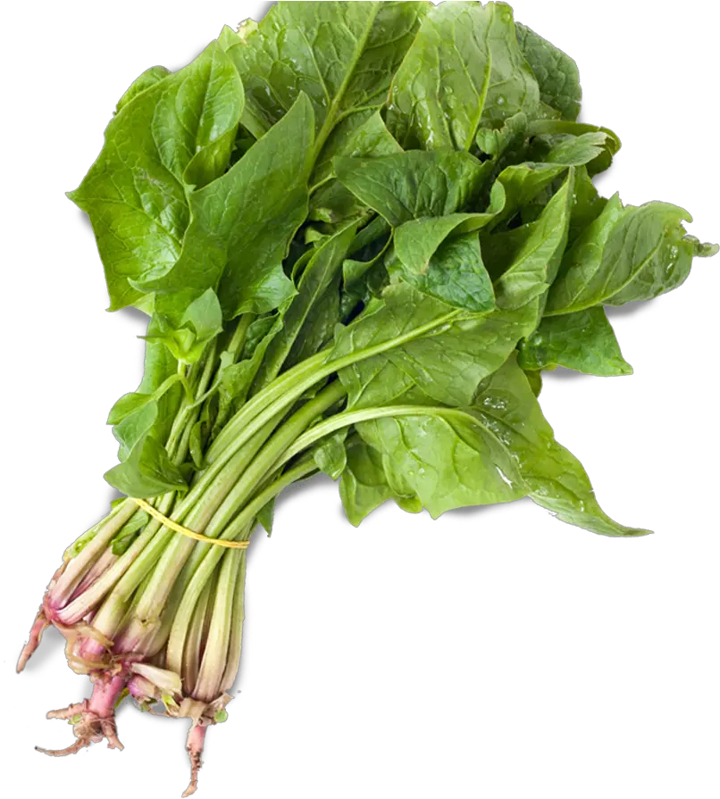 Spinach Organic Sandwich Co Spinach Hd Png Spinach Png