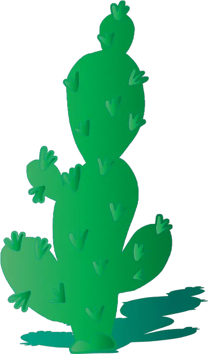 Free Photo Shadow Cactus Plant Arizona True Frog Png Desert Plant Png