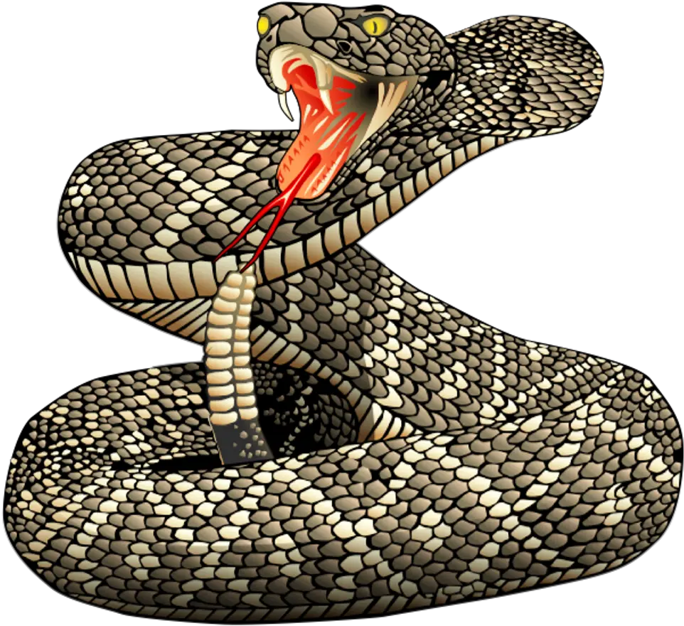 Rattle Snakes Transparent Png Image Diamondback Rattlesnake Tattoo Snakes Png