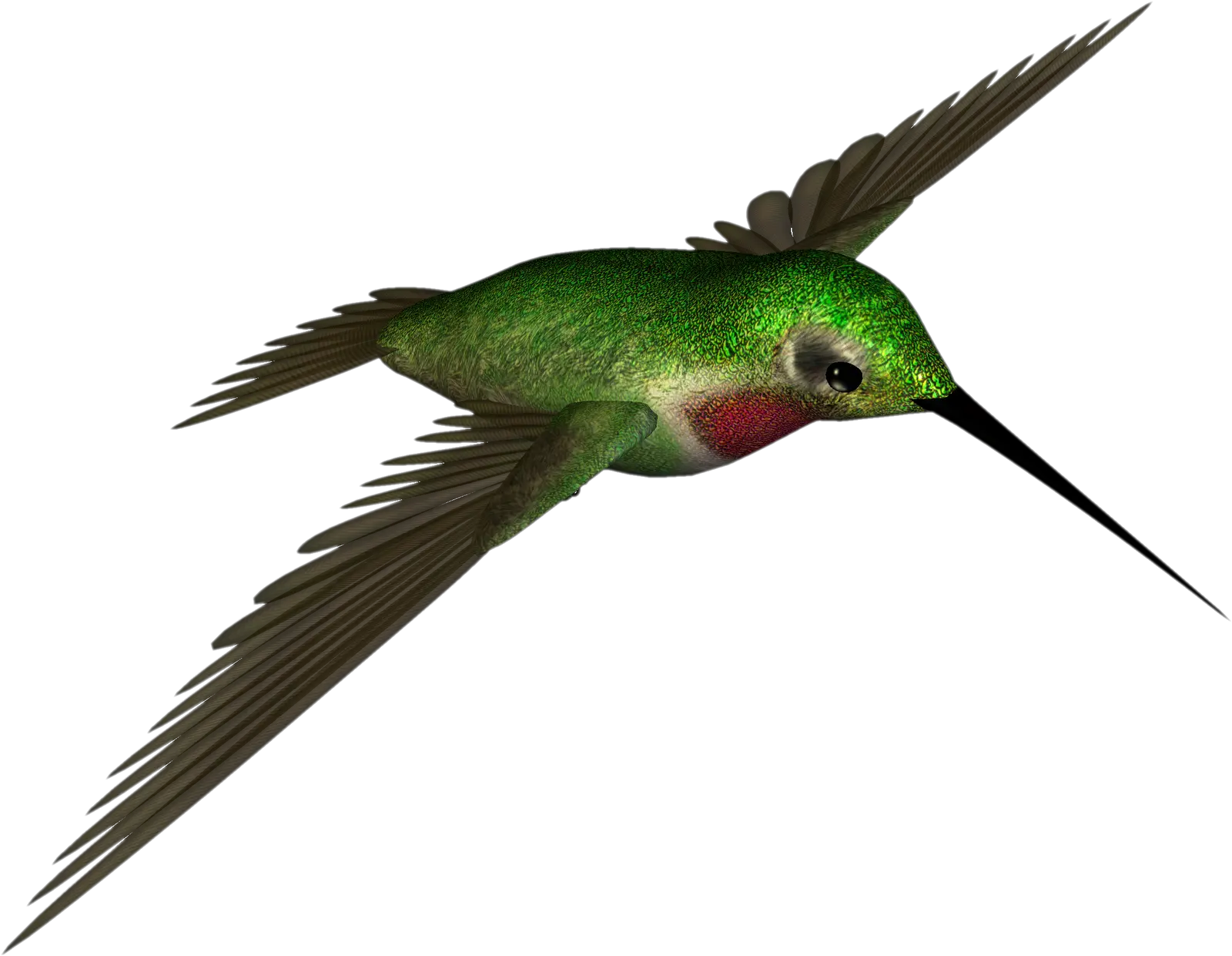 Hummingbird Clipart Colored Bird Dr Hummingbird Png Hummingbird Png