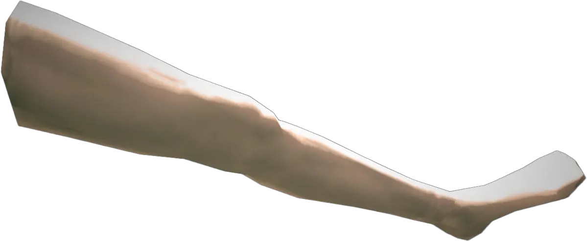Png Leg Picture Left Leg Png Leg Transparent