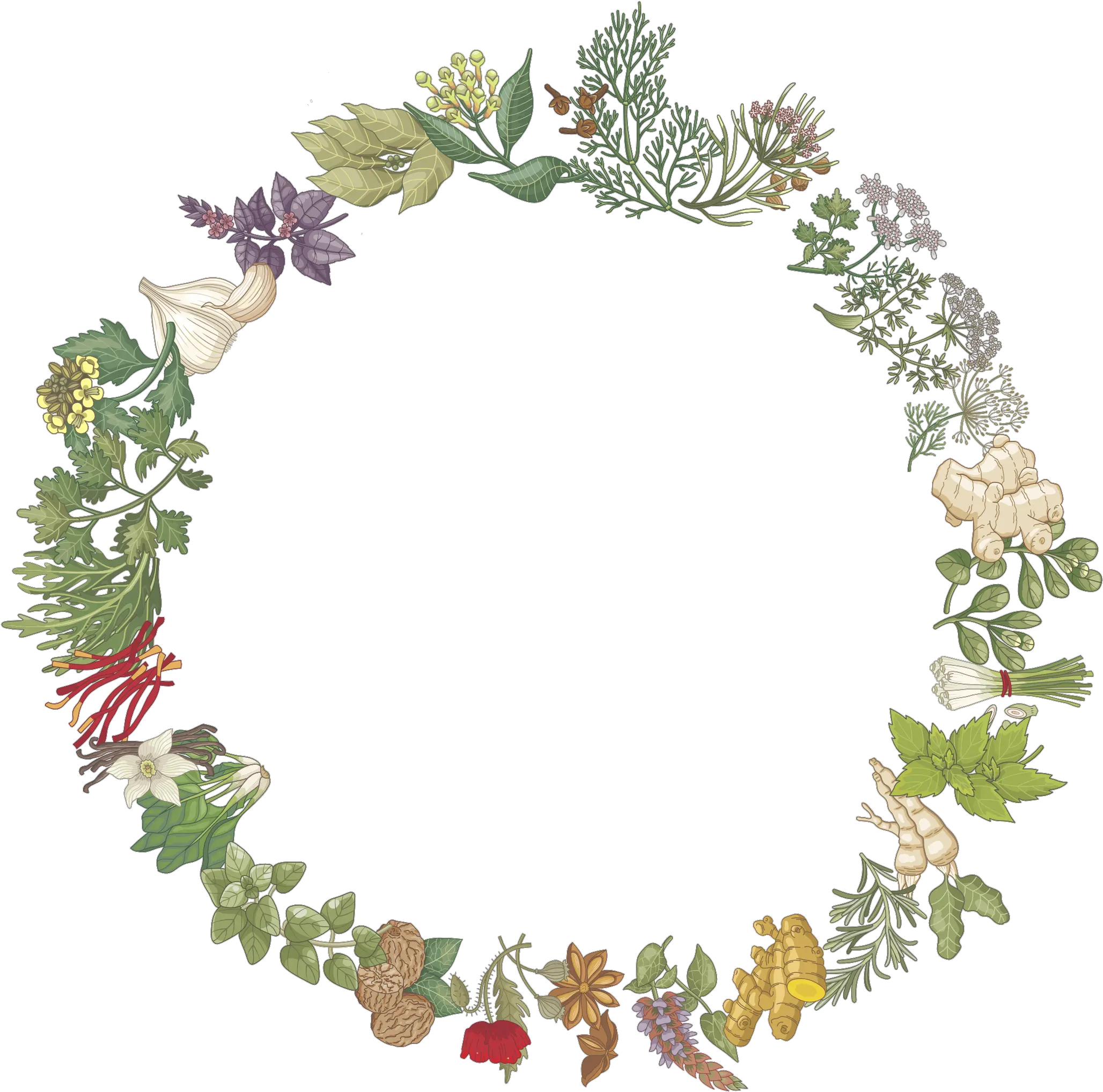 Spices Png Herbs And Spices Png Herbs Png