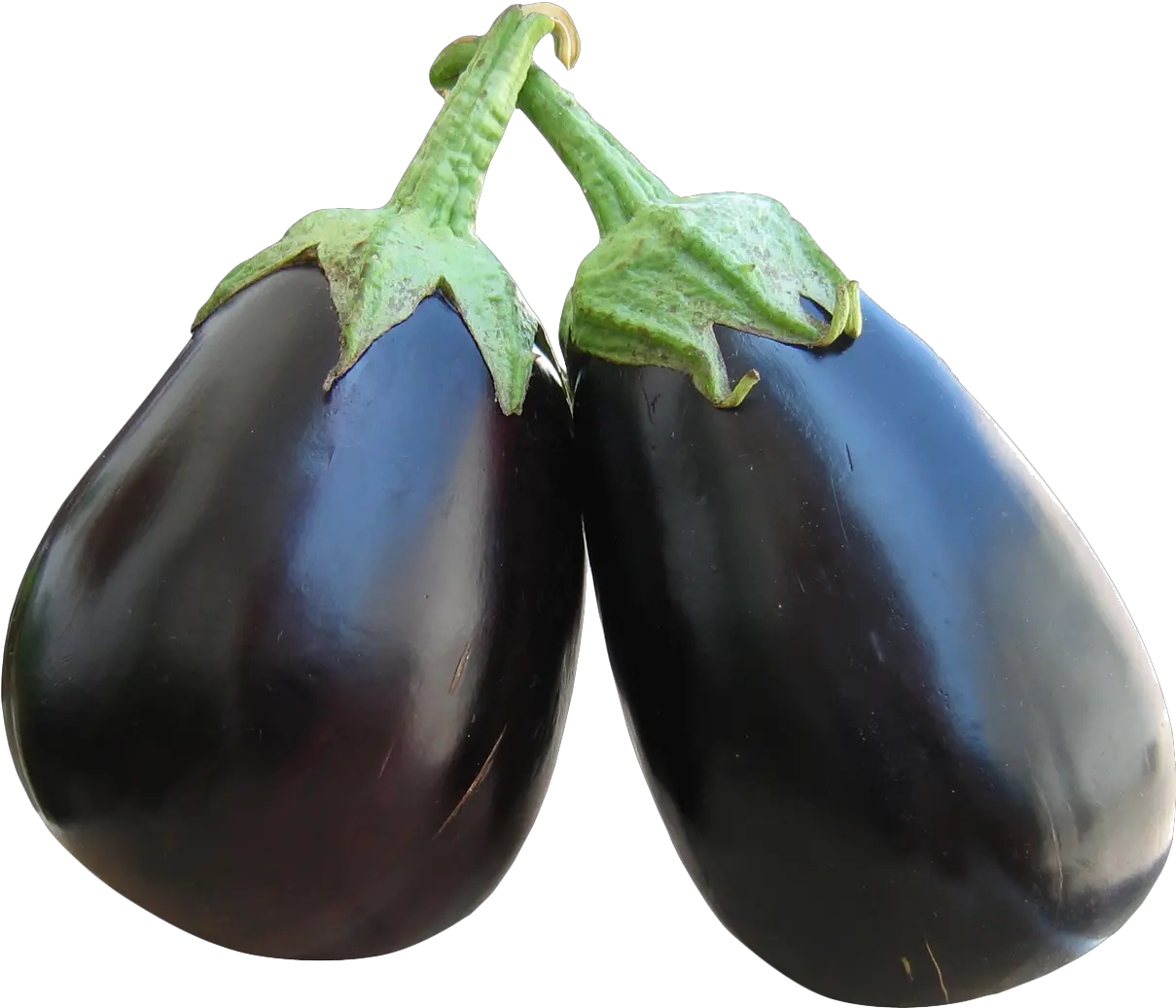 Eggplant Png Image For Free Download Eggplant Eggplant Png