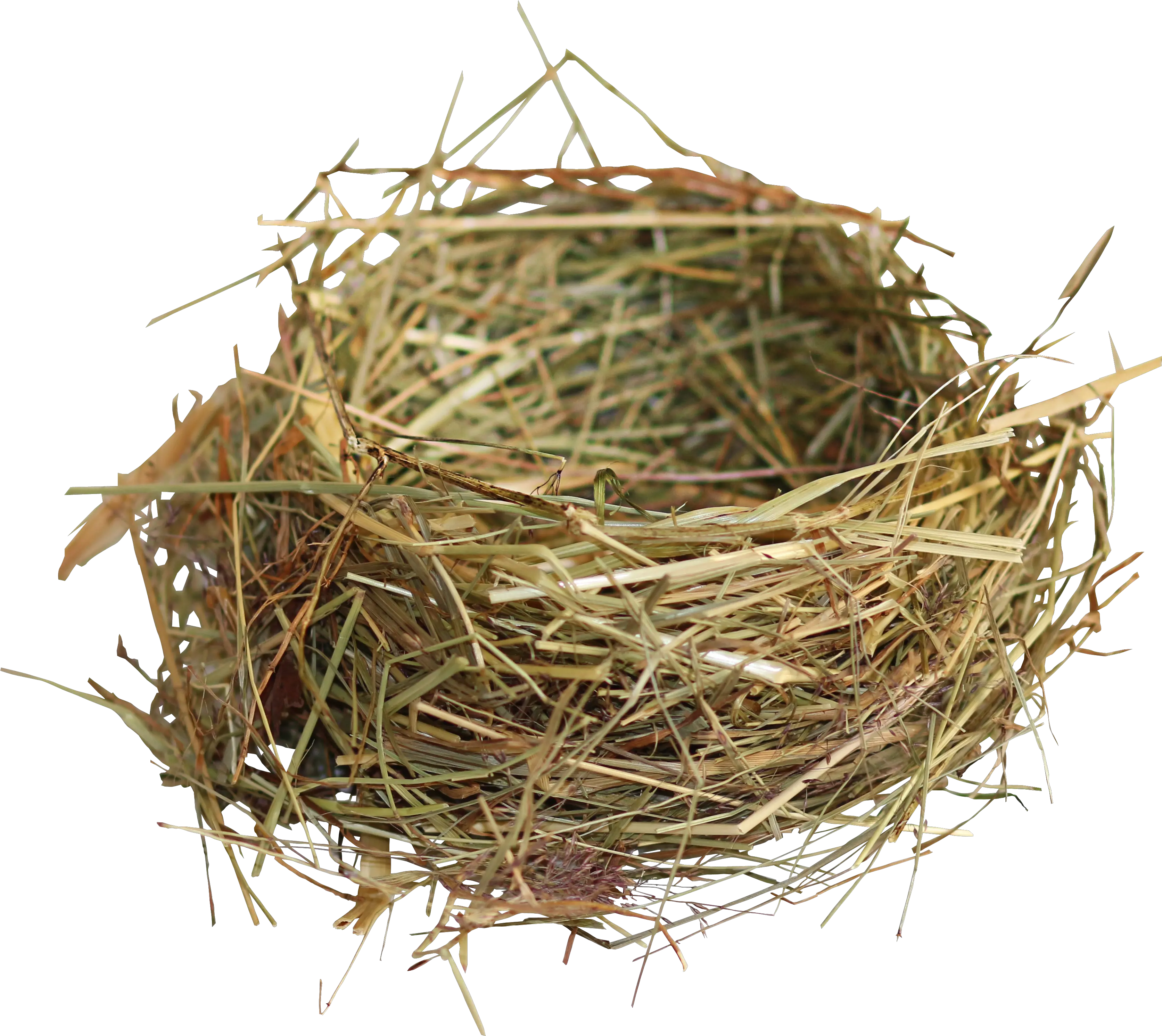 Nest Png Bird Nest Png Nest Png